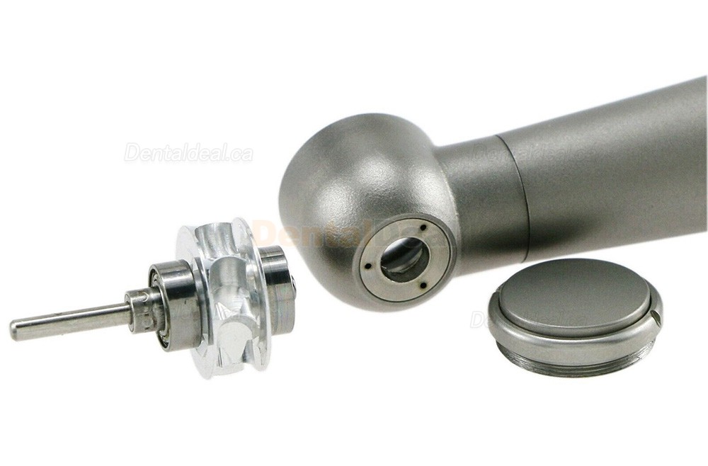 BEING 302PQ-K-Ti Dental Turbine Handpiece Fit KAVO Multiflex Lux Coupling